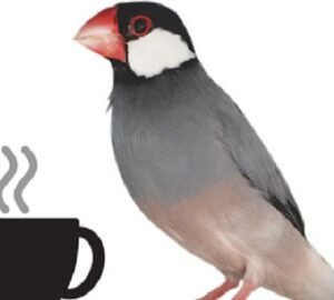 Crack Java Coding Interview