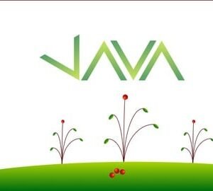 Java 11 For Complete Beginners