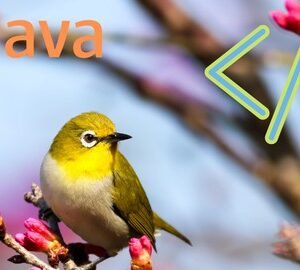 Java Programming and Basics of Spring Boot Microservices