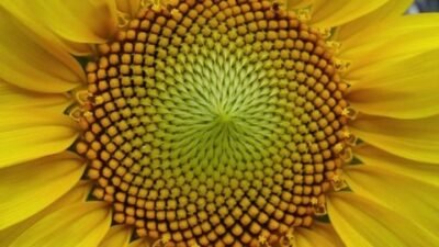 JavaScript: Patrones de diseño y arquitectura