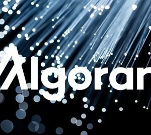 Javascript ile Algorand Eğitimi