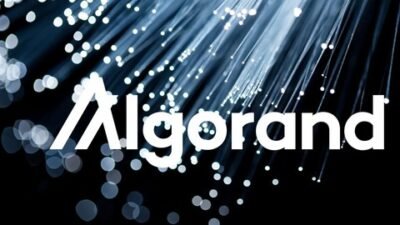 Javascript ile Algorand Eğitimi