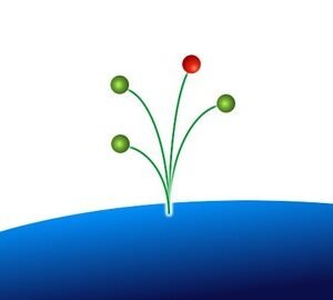 Learn Advanced Java