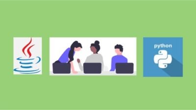 Learn Java and Python in One Course