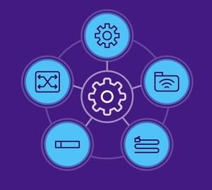 Microservice Development with Java EE 8: 2-in-1