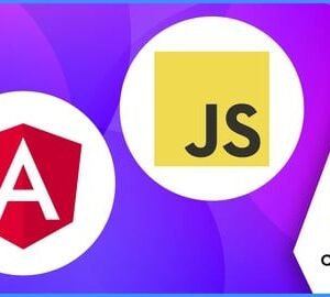 Modern Frontend Web Development: Angular, Javascript JS