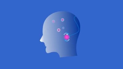 Programación en JAVA desde CERO - Desarrolla tus habilidades