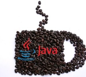 Programación en Java para Selenium Webdriver