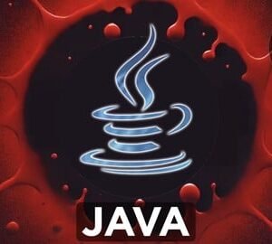 The Complete Java Development Bootcamp