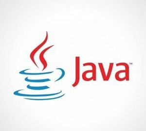You will be an expert in Java