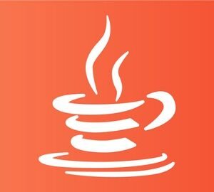 Oracle Certified Professional: Java SE 11 Developer [Exams].
