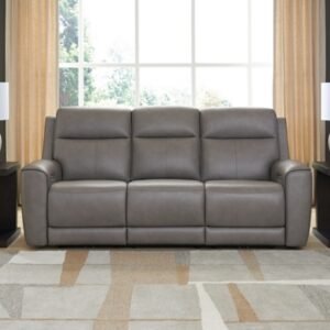 5Z-Relaxation Dual Power Leather Reclining Sofa Leather, Coin