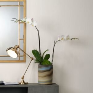 Home Accents Brass Wallace Table Lamp